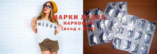 твердый Осинники