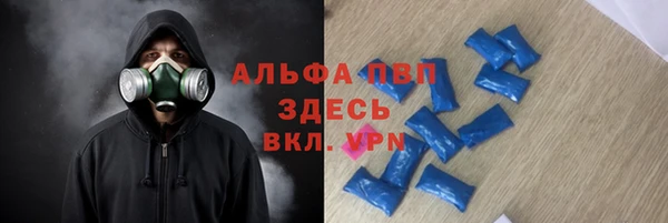 твердый Осинники