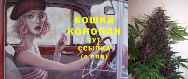 твердый Осинники