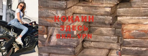 твердый Осинники
