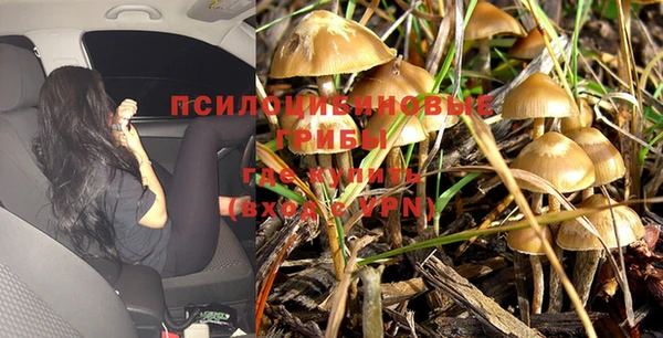 твердый Осинники