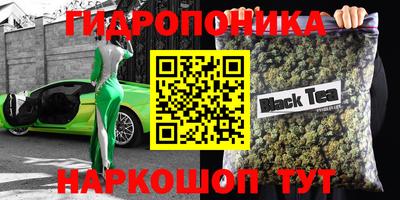 прущие крисы Донецк