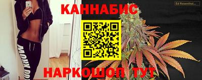 прущие крисы Донецк