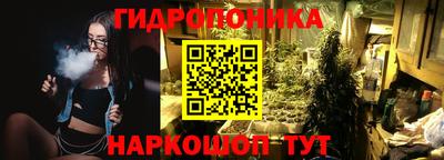 СК Донской