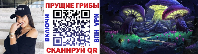 Псилоцибиновые грибы Psilocybe  Истра 
